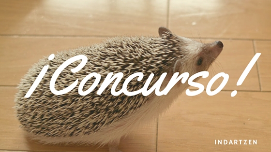 Indartzen. Erizo. Concurso