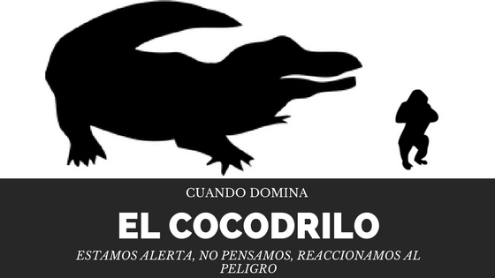 Educación_Familiar_Cuando_domina_cocodrilo
